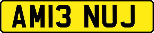AM13NUJ