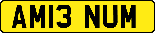 AM13NUM