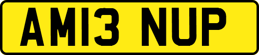 AM13NUP