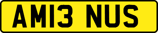 AM13NUS