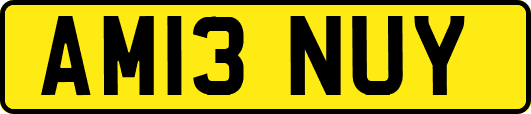 AM13NUY