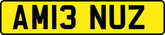 AM13NUZ