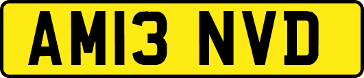 AM13NVD