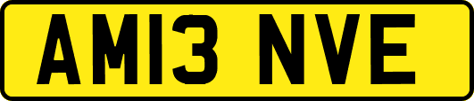 AM13NVE