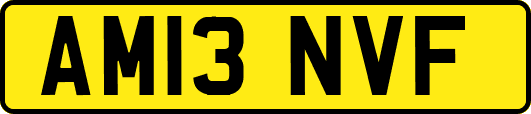 AM13NVF