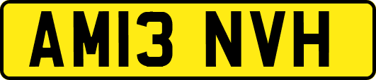 AM13NVH