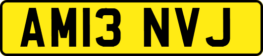 AM13NVJ