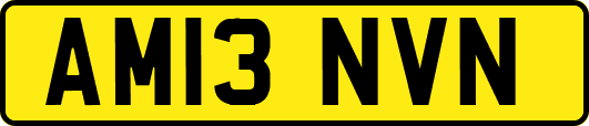 AM13NVN