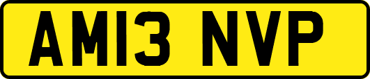 AM13NVP