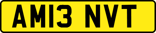 AM13NVT