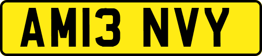 AM13NVY