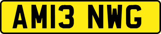 AM13NWG