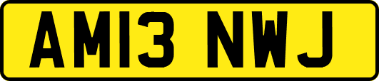 AM13NWJ