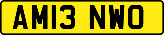 AM13NWO