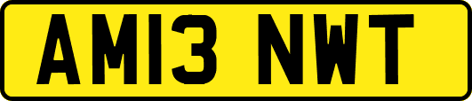 AM13NWT