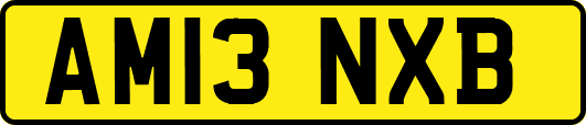 AM13NXB