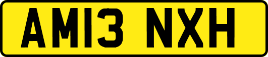 AM13NXH
