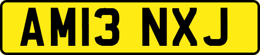 AM13NXJ
