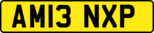 AM13NXP