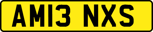 AM13NXS