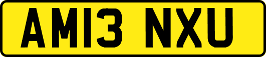 AM13NXU
