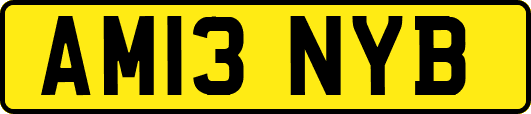 AM13NYB