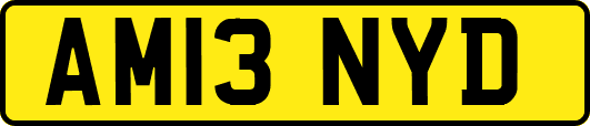 AM13NYD