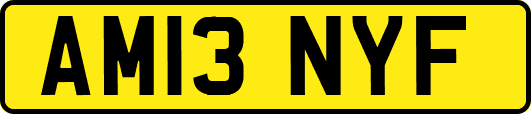 AM13NYF