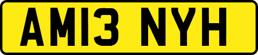 AM13NYH