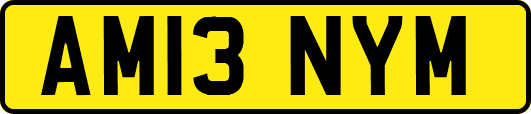 AM13NYM