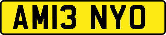 AM13NYO
