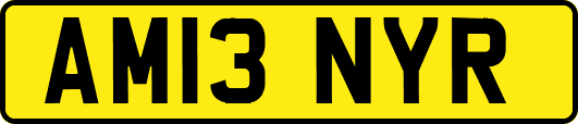 AM13NYR