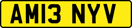 AM13NYV