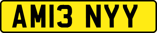 AM13NYY