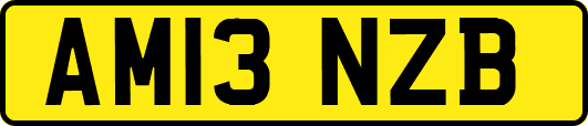 AM13NZB