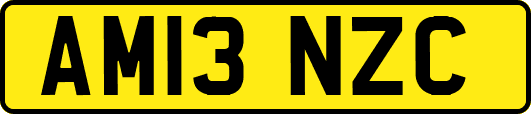 AM13NZC