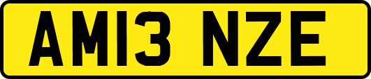 AM13NZE