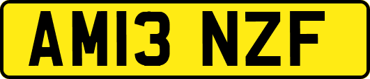 AM13NZF