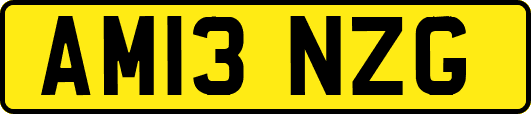 AM13NZG