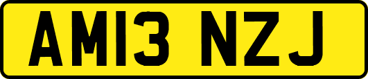 AM13NZJ