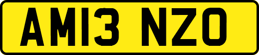 AM13NZO
