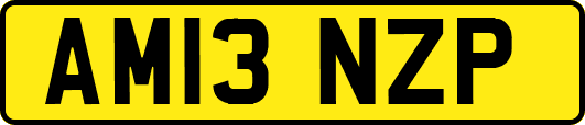 AM13NZP