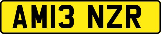 AM13NZR