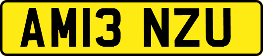 AM13NZU