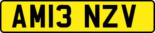 AM13NZV