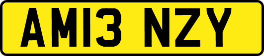 AM13NZY