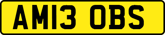 AM13OBS