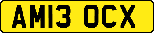 AM13OCX