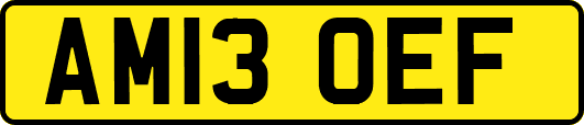 AM13OEF