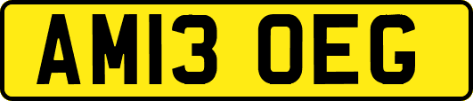 AM13OEG